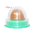 10Pcs