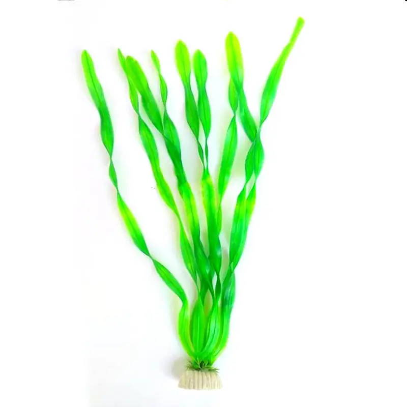 Aquarium Simulation Water Plants North American Fish