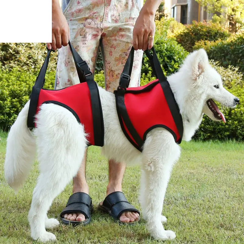 Dog Pet Assist Belt Elderly Dog Hind Leg