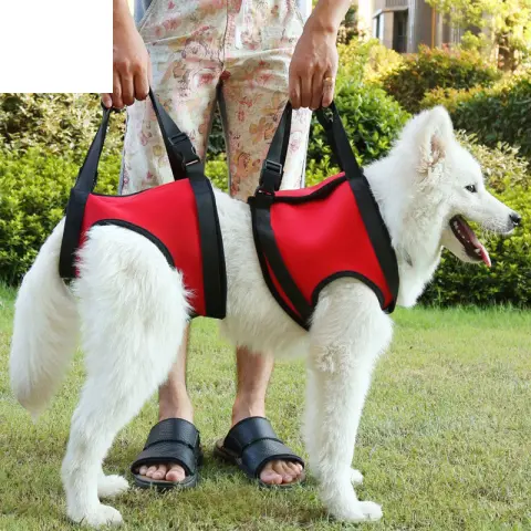 Dog Pet Assist Belt Elderly Dog Hind Leg