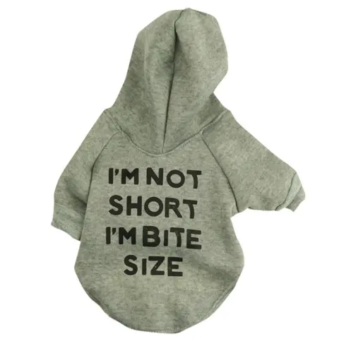 Autumn and Winter Dog Clothes Fleece Three-letter T-shirt