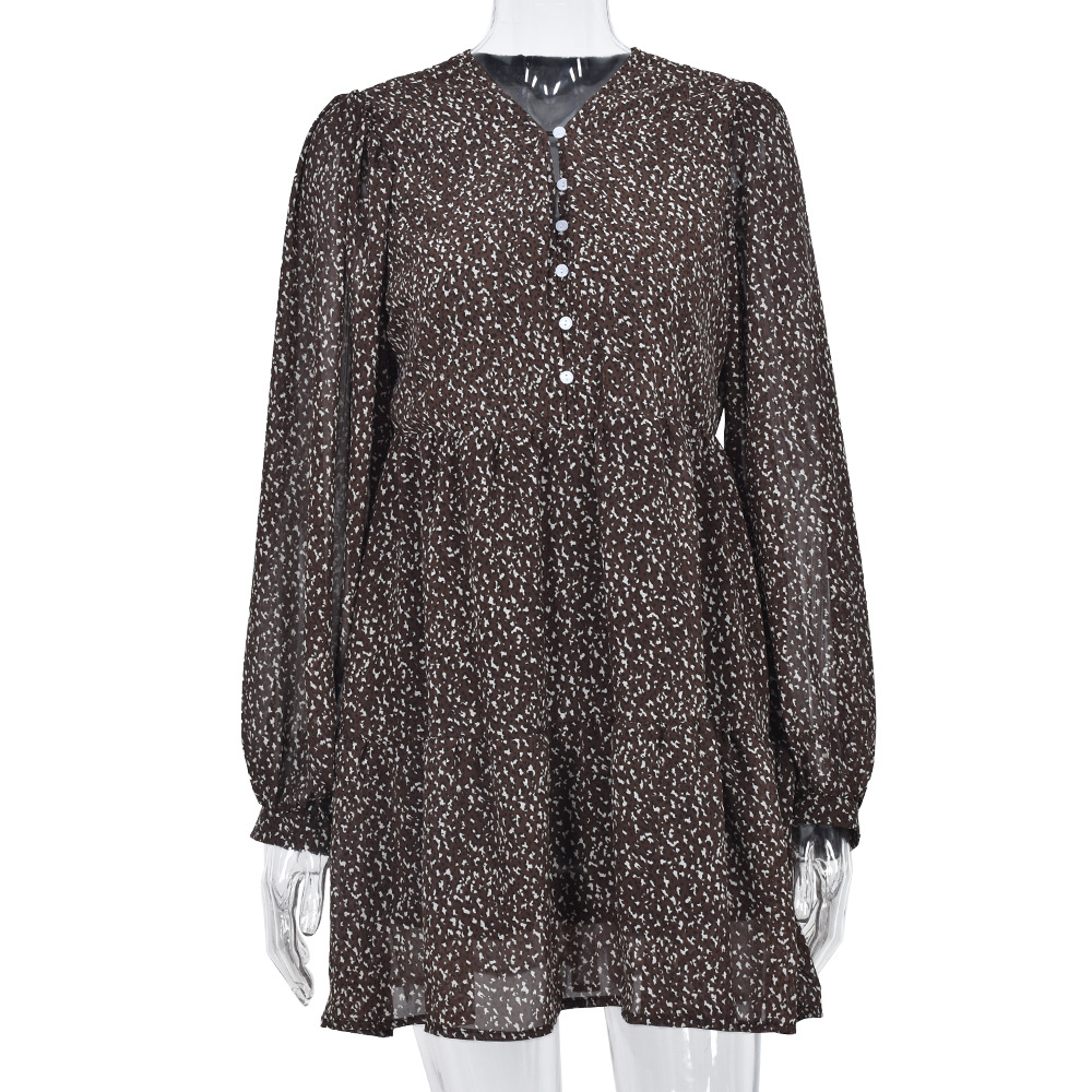 Loose Leopard Print Lantern Sleeve V-Neck Swing Dress