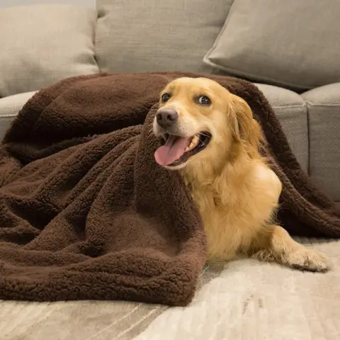 Plush Pet Blanket Dog Mat Cat Mat Pet Air