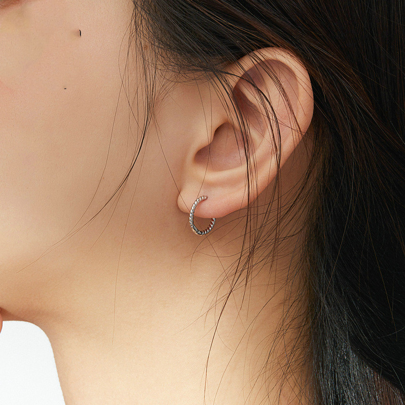 S925 European And American Fashion Earrings Ear Buckles