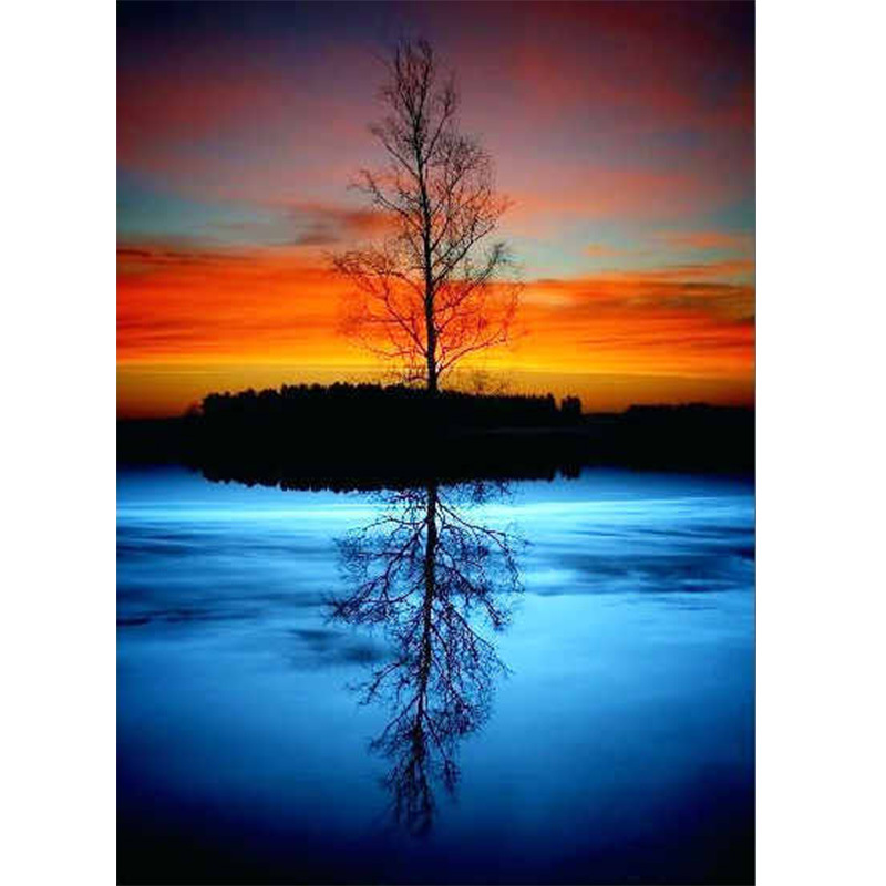 Title 2, Diamond Painting, Reflection, Tree Decoration, ...