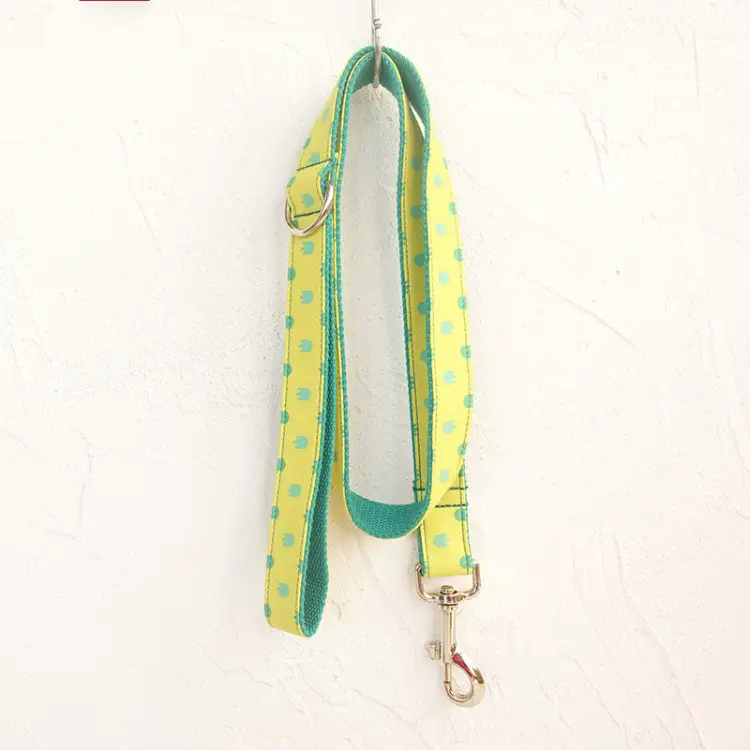 Dog Collar Leash Set Labrador