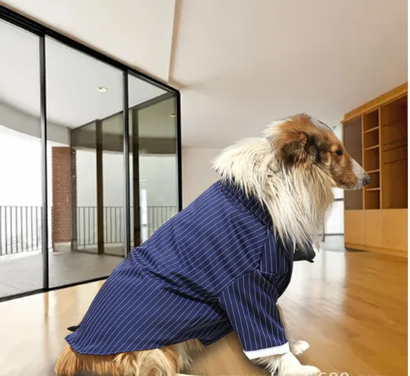 Large Dog Clothing Large Dog Stripe Bow Tie Suit Golden Retriever Blue - Shop at LoveMi