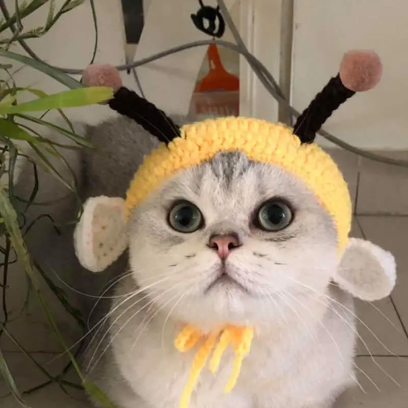 Cute Little Bee Headgear Pet Wool Knitted