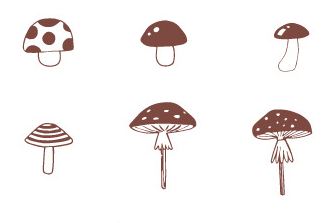 Mushroom forest