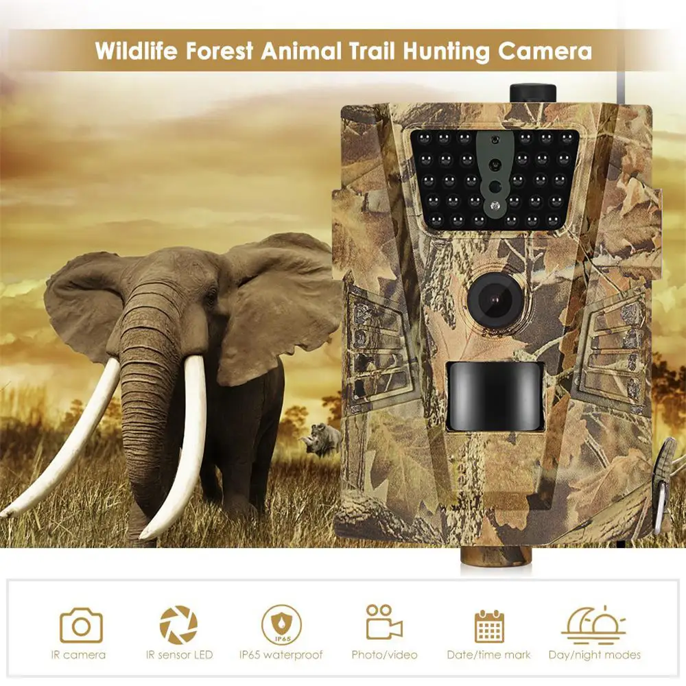 Orchard Surveillance Anti-Theft Camera