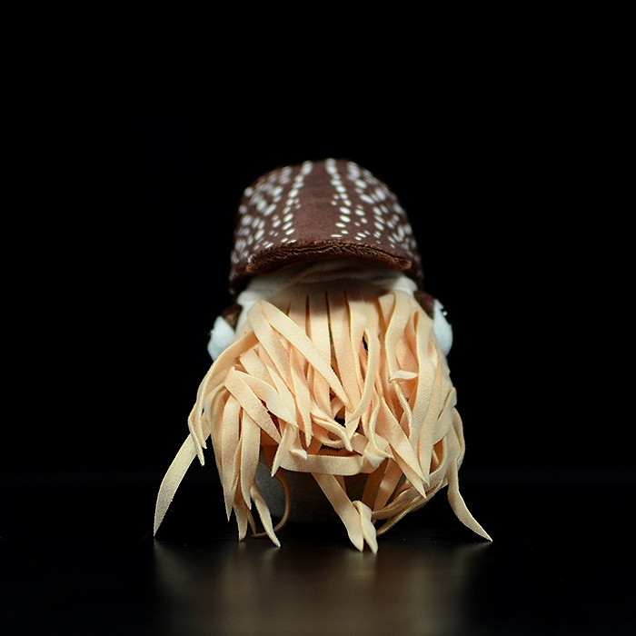 Simulation Pearl Nautilus Doll Simulation Animal Plush Toy Model