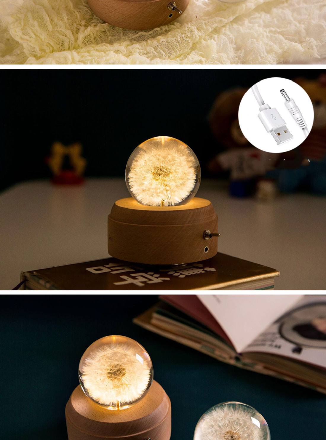 Dandelion plant specimen crystal ball music box