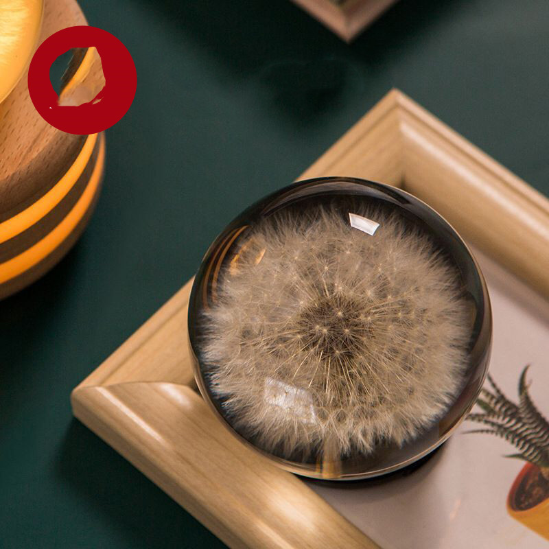 Dandelion plant specimen crystal ball music box