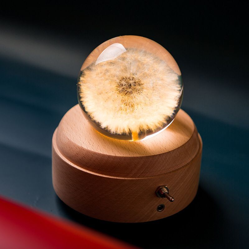 Dandelion plant specimen crystal ball music box