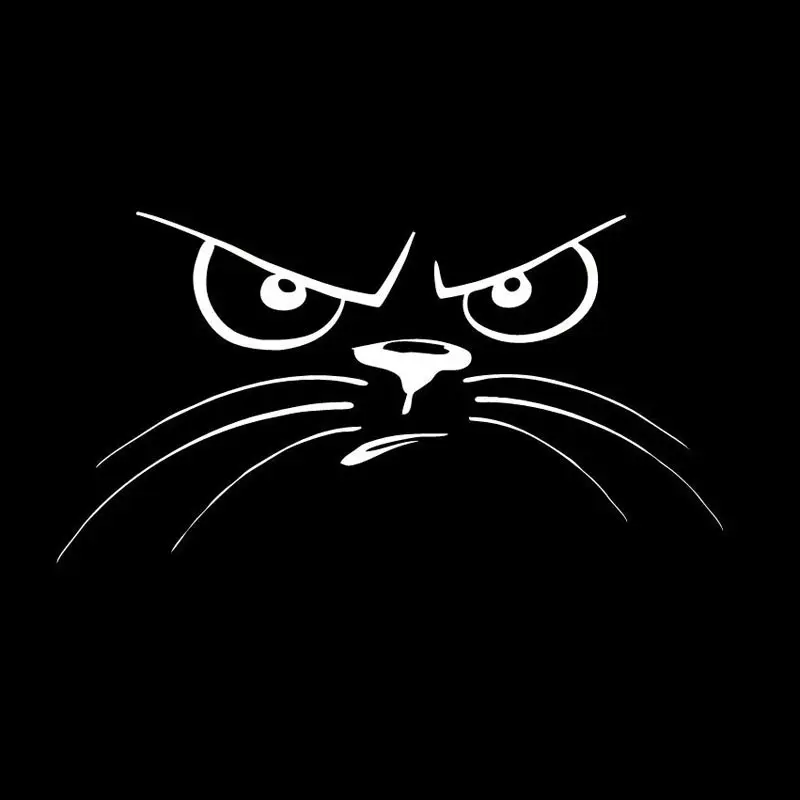 J-078 Not Happy Cat Face Animal Car