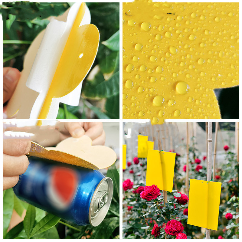 Yellow Insect Trap To Kill Small Flying Insects (Yellow-12