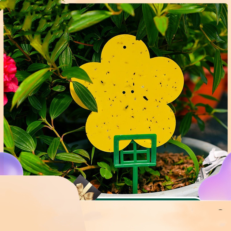 Yellow Insect Trap To Kill Small Flying Insects (Yellow-12