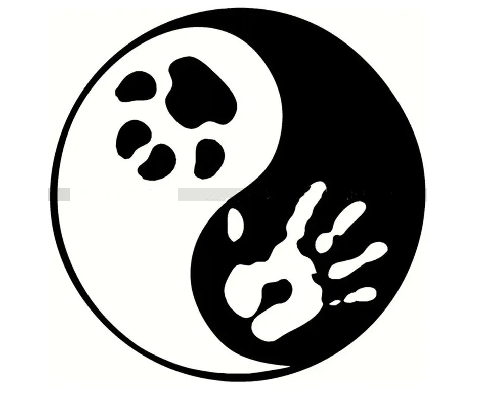 Custom Made For Foreign Trade Vehicle Sticker