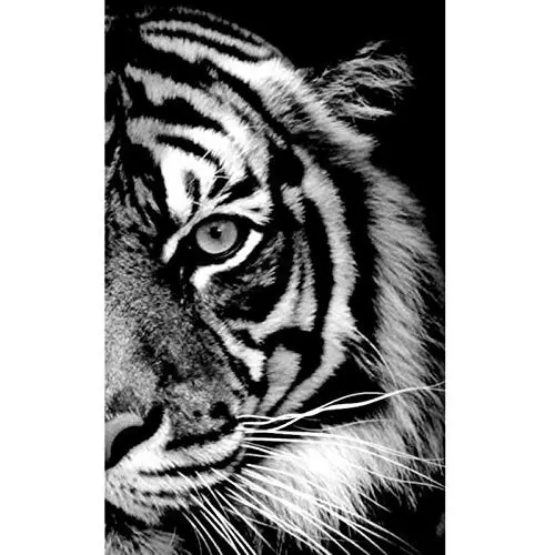 5D Diamond Painting Tiger