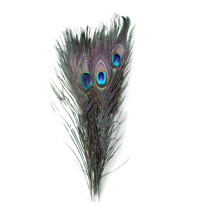 Title 4, Peacock Feather Eyes 2-6 Cm Peacock Feather Fea...