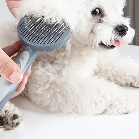 Pet Slicker Grooming Brush Comb for Cats Small Middle