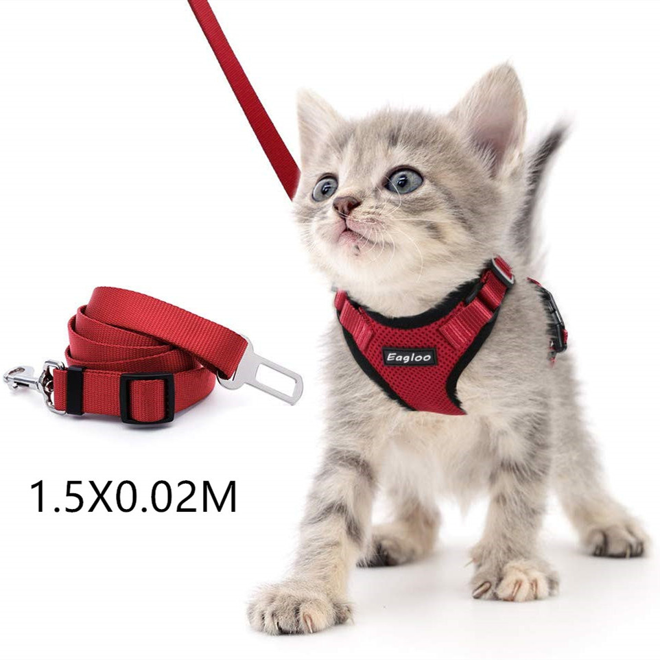 Red with leash1.5X0.02M