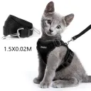 Black With Leash1.5X0.02M