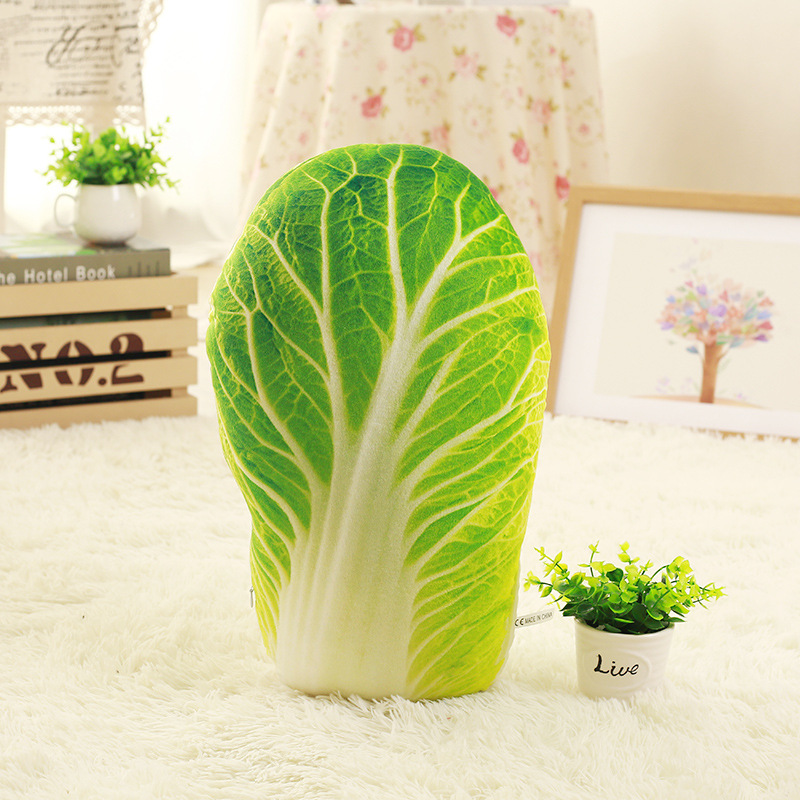 Chinese cabbage