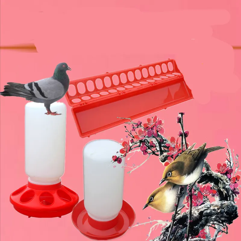 The Bird Feeds Water Bottle To Pigeon