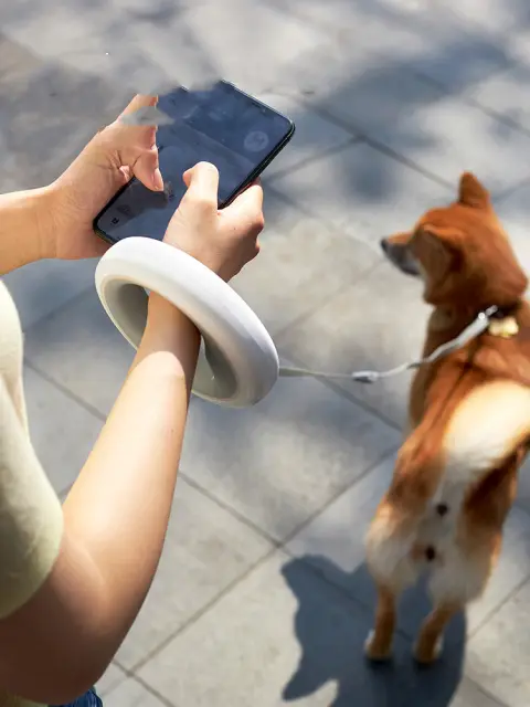 Meng Wangxing UFO Retractable Leash Dog Small and Medium-sized
