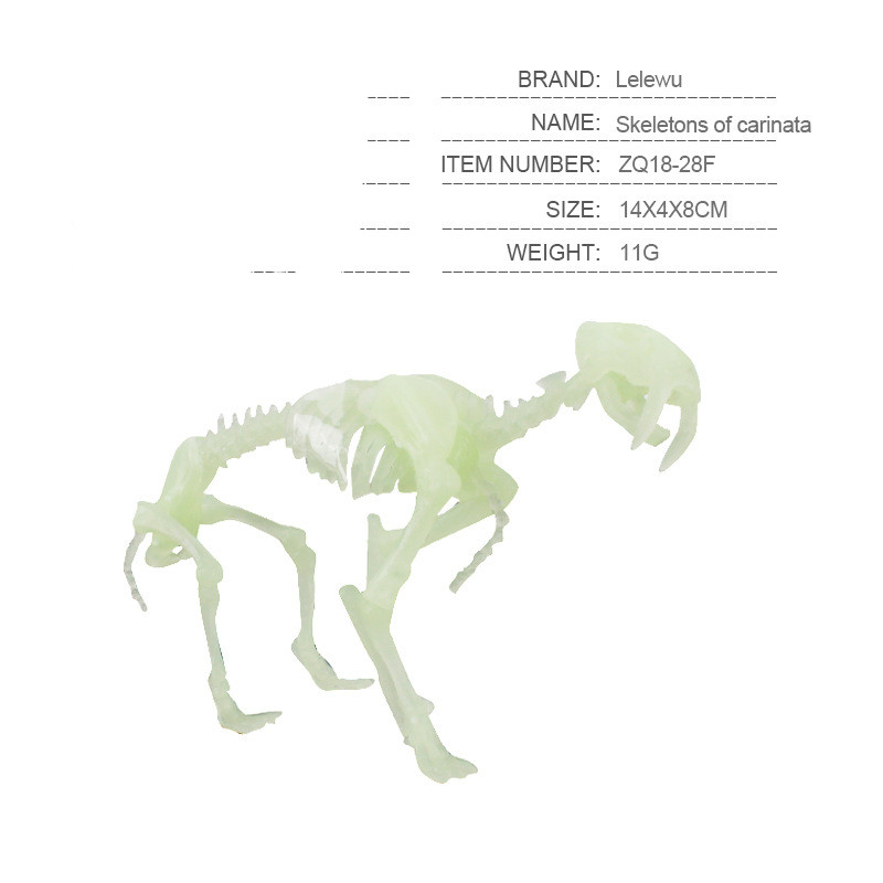 Title 13, Build Your Own Dinosaur Skeleton Model – An edu...