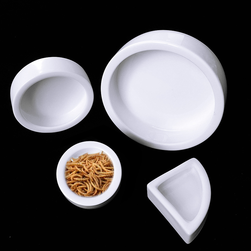 Reptile Escape Prevention Ceramic Food Bowl — view 5