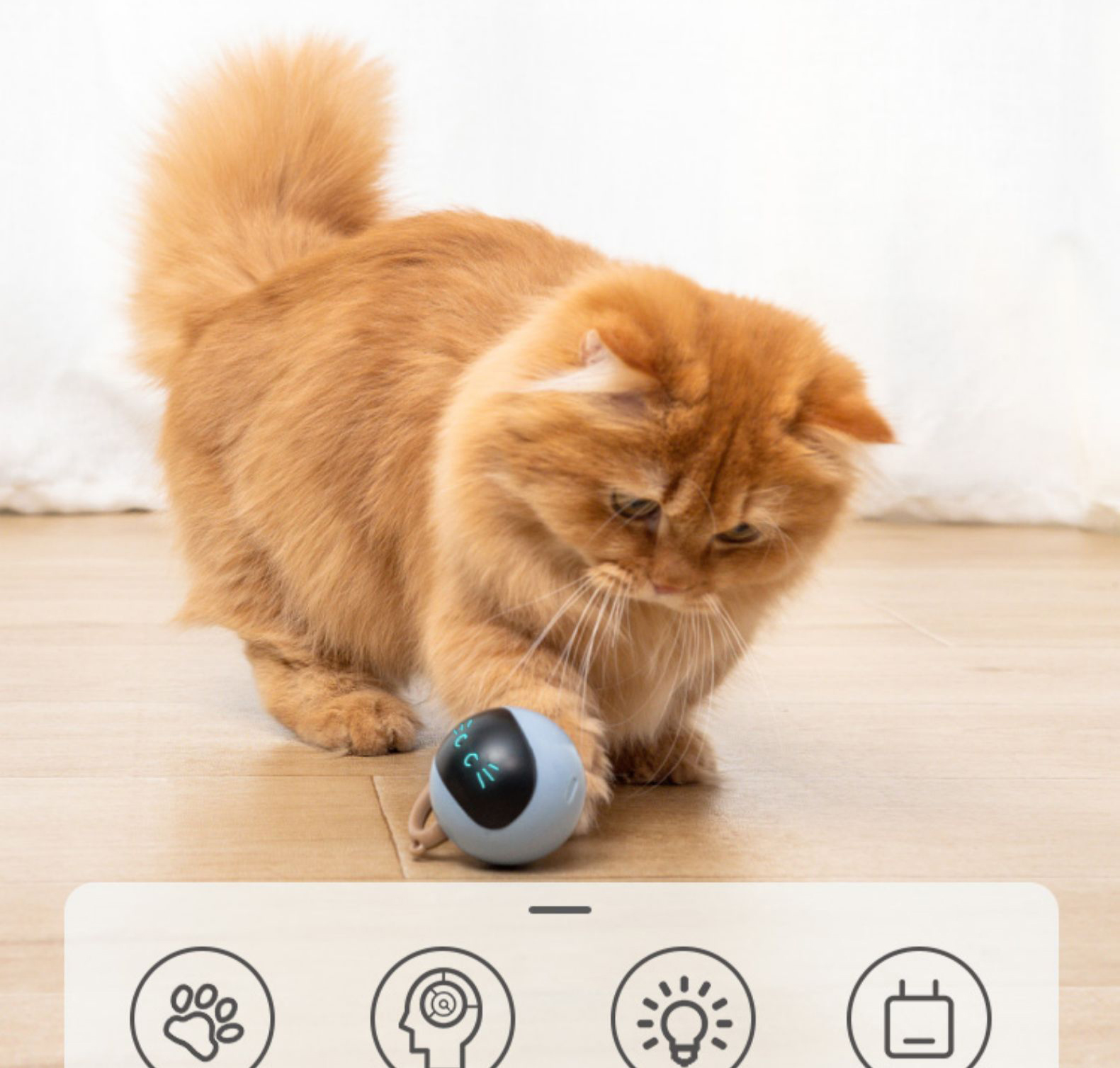Two Lucky Raccoons Fitness Ball Cat Toy — foto 10