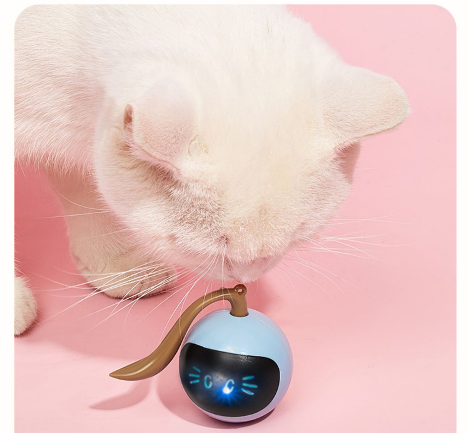 Two Lucky Raccoons Fitness Ball Cat Toy — foto 4