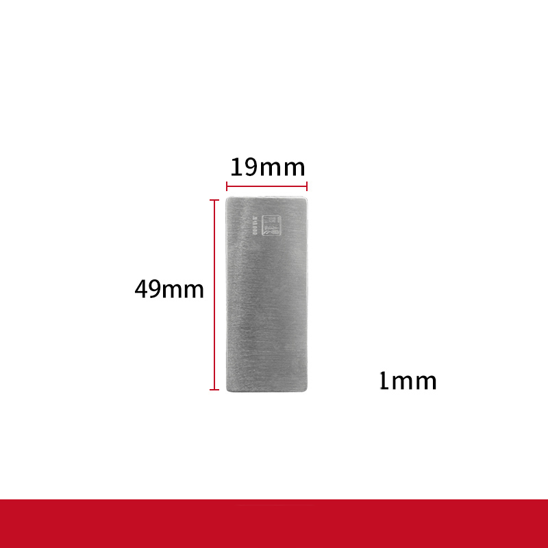 Silver Nugget Annual Meeting Gift