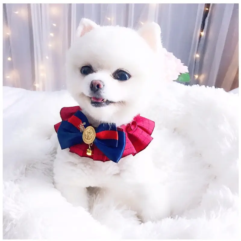 Pet Cat Dog Accessories British Retro Campus Trend Bow Tie Collar Bib Bell Saliva Towel Collar