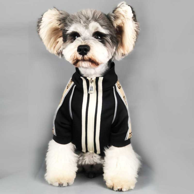 Title 5, Dog Clothes Spring And Autumn New Sweater Summe...