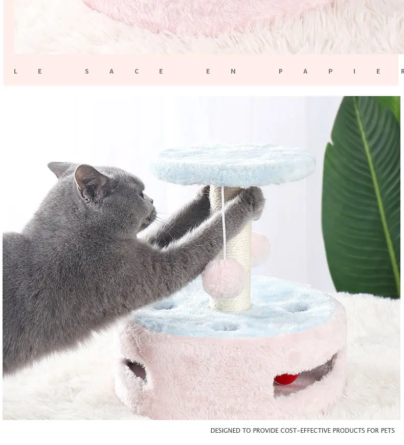 Small Cat Climbing Frame