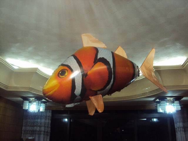 Clownfish