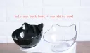 Black And Clear