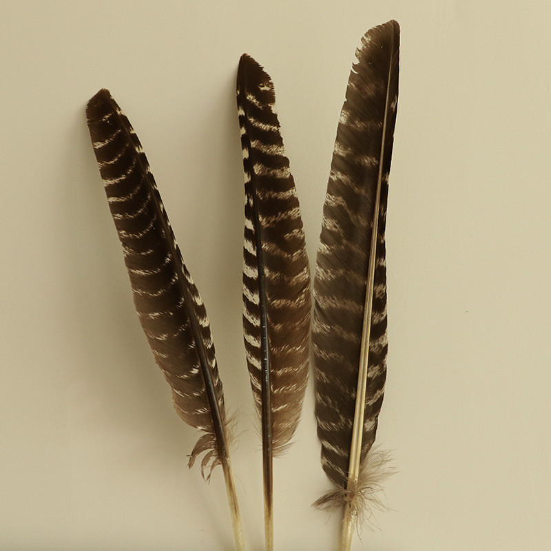 Black turkey feather large 35