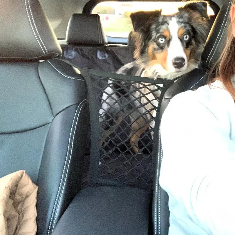 Pet Products Amazon Popular Car Isolation Net