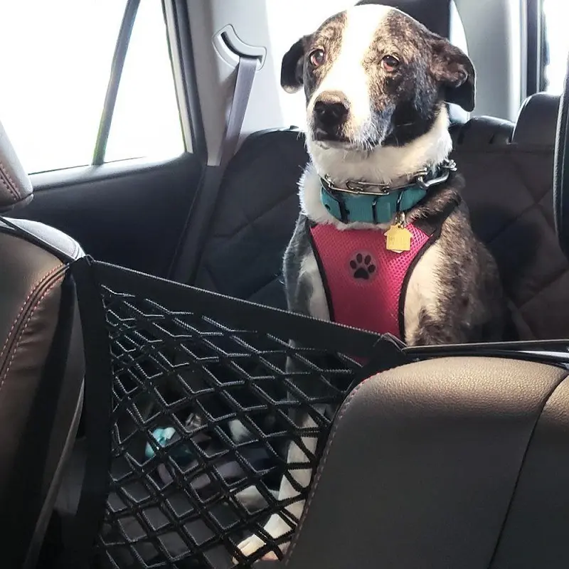 Pet Products Amazon Popular Car Isolation Net