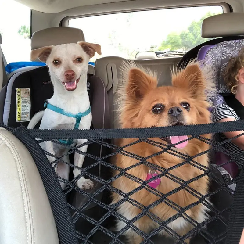 Pet Products Amazon Popular Car Isolation Net