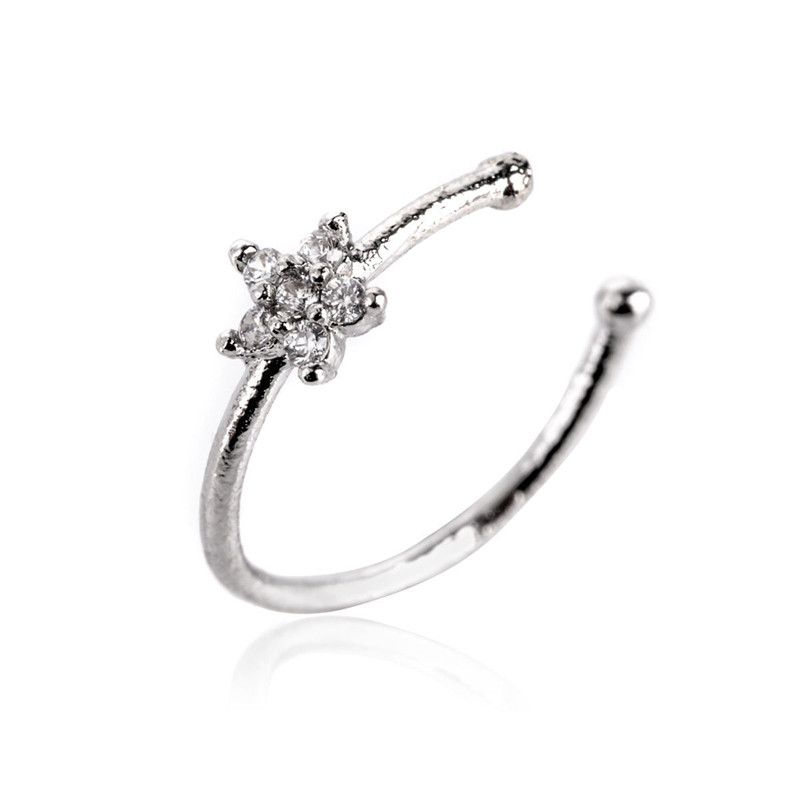 Title 5, Fashionable And Exquisite Zircon Nose Ring Silv...