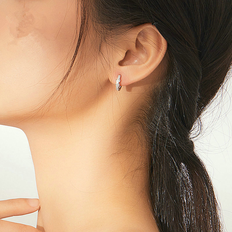 Sterling Silver Fashion And Simple Earrings