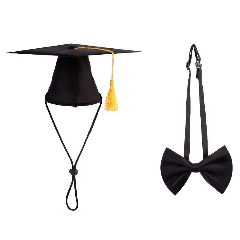 Pet Doctor Hat Bow Tie Cat Creative