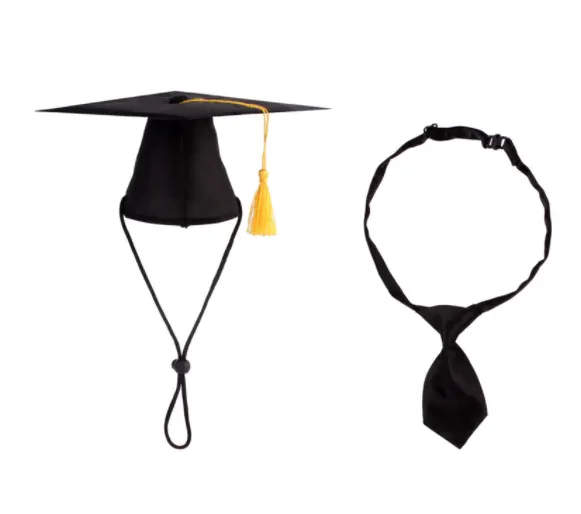 Pet Supplies Dog Doctor Hat and Tie