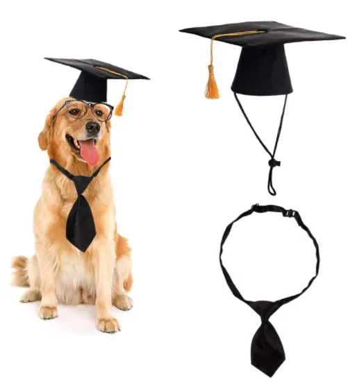 Pet Supplies Dog Doctor Hat And Tie Black - Shop at LoveMi