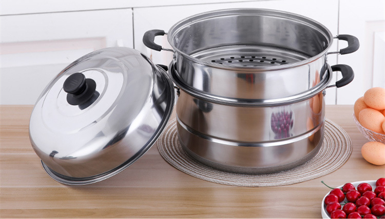 Multi-purpose steamer